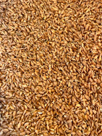 Einkorn Wheat Berries