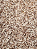 Einkorn Seed