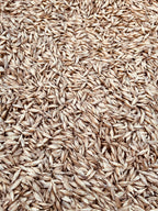 Einkorn Seed