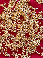 Red Fife Wheat Berries