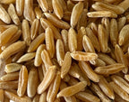 Khorasan Wheat